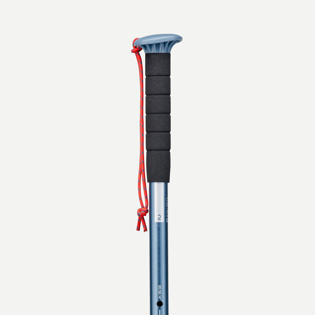 Forclaz MT100 Hiking Pole (Single Pole)