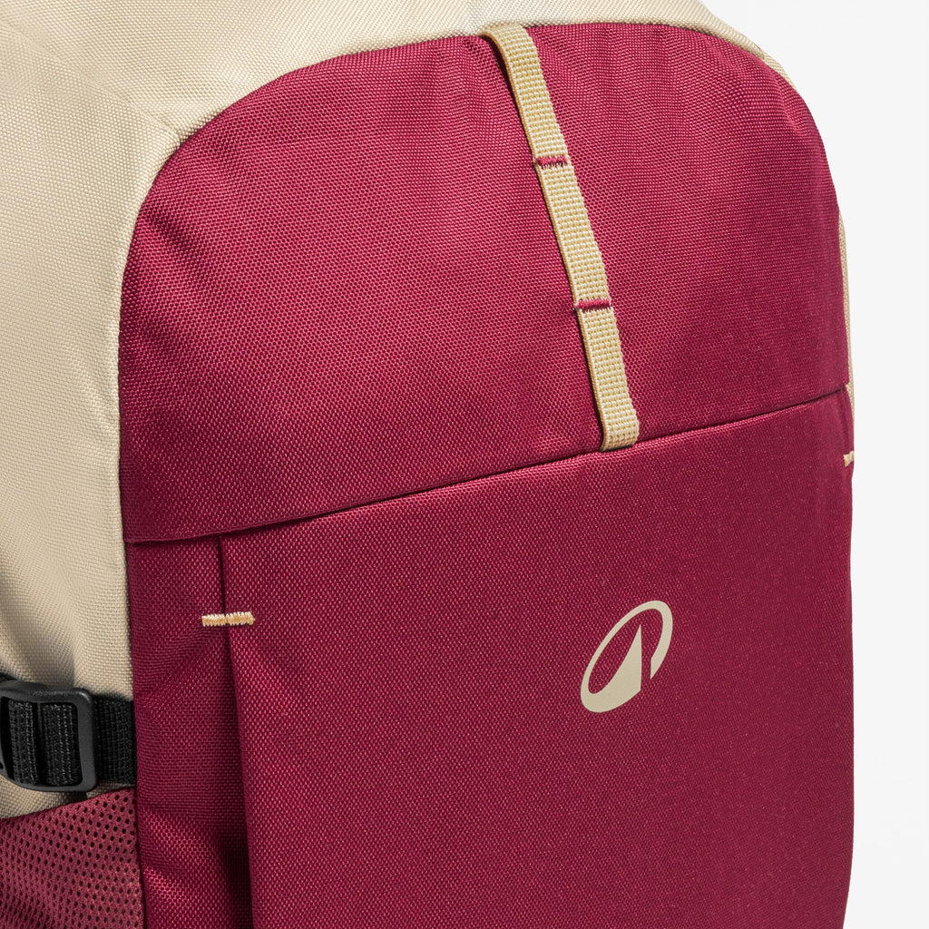 Quechua 100 Arpenaz 20L Hiking Backpack
